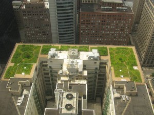 800px-20080708_Chicago_City_Hall_Green_Roof