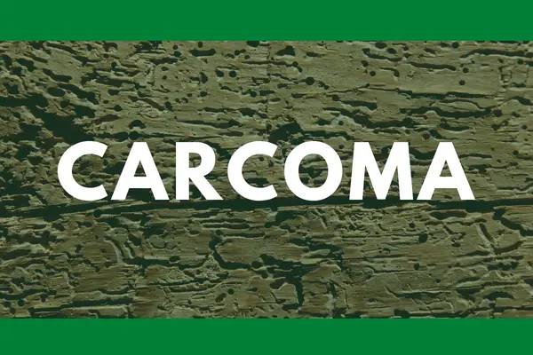 Qué es la carcoma