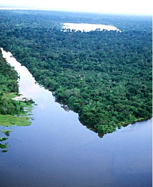selva-amazonica